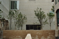 IMAGE0025_27